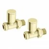 Arezzo Modern Straight Radiator Valves - Brushed Brass